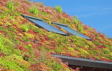 Halterworth living roof systems